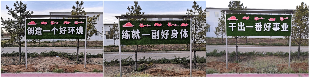 配圖4.jpg