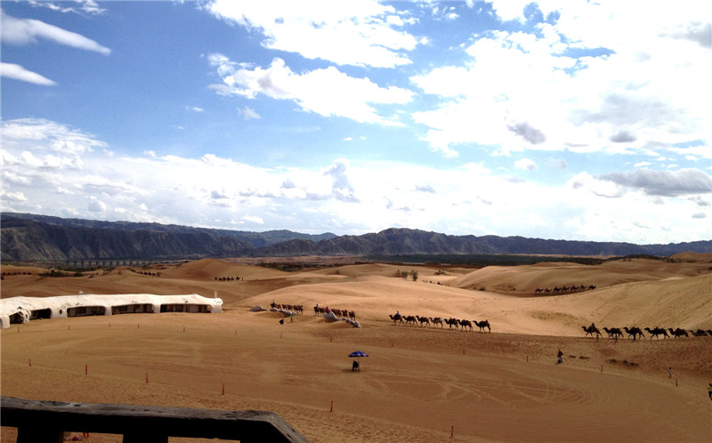 寧夏沙坡頭  鄭志勇攝